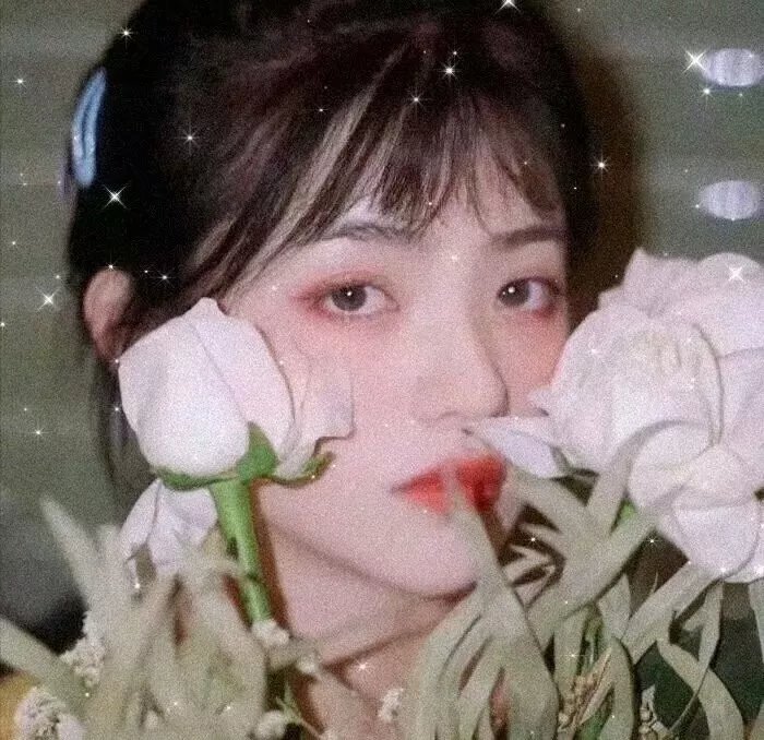 百视达纪事第一季